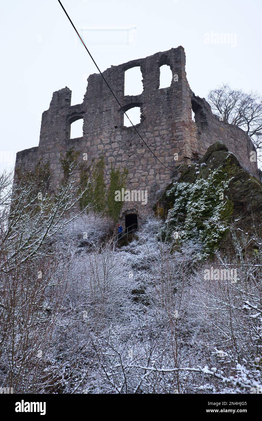 Falkenstein, Deutschland - 31. Januar 2021: Mann, der an einem kalten, verschneiten Wintertag in Rheinland P aus einer Tür in einer Wand in den Burgruinen von Falkenstein kommt Stockfoto