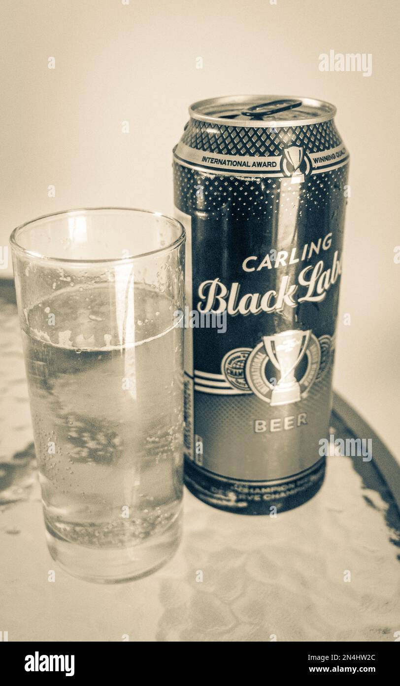 Carling Black Label Bierkannen und -Glas auf weißem Hintergrund in Kapstadt Südafrika. Stockfoto