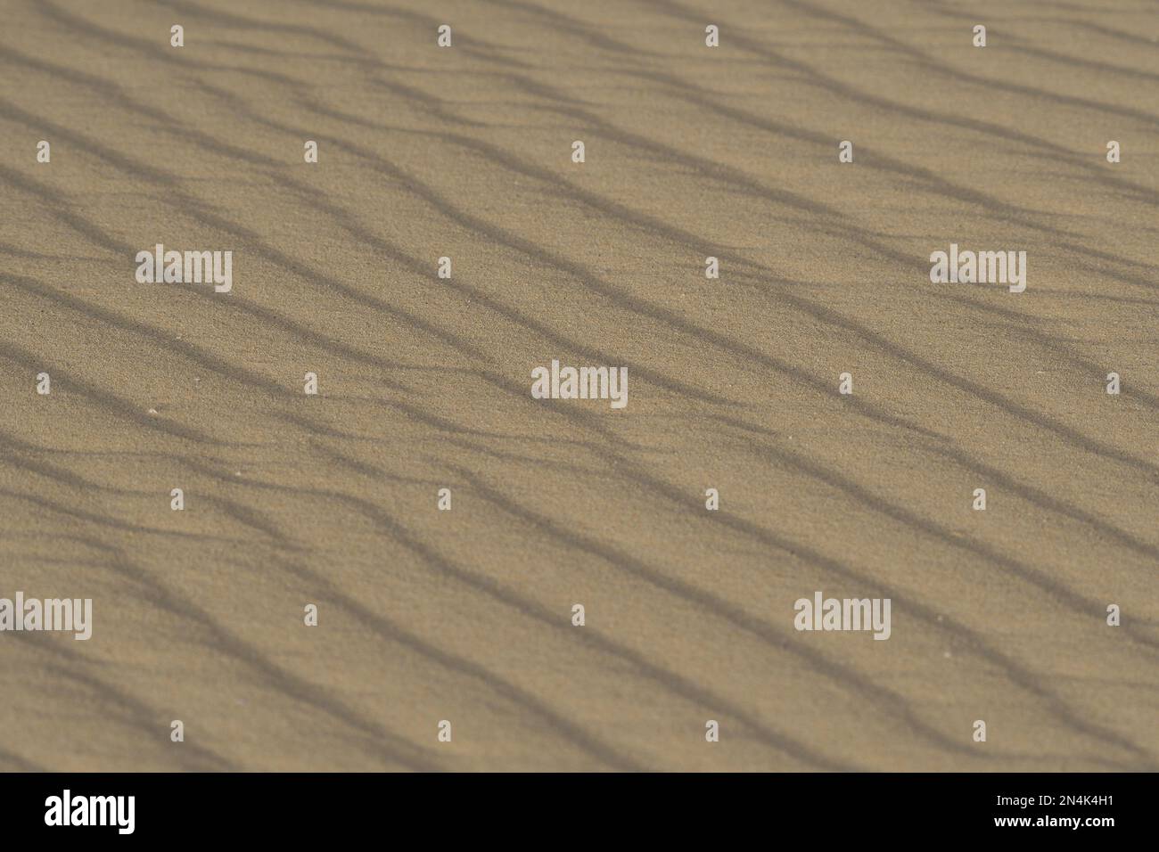 Bands im Sand, typisch für die Dünen des Naturparks Corralejo Stockfoto