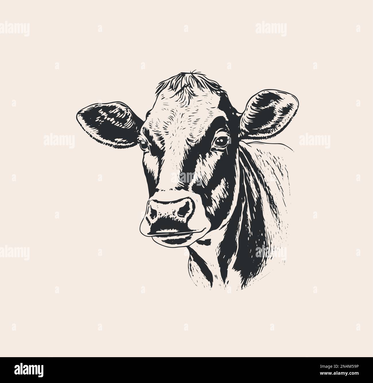 Handgezeichnete Skizze Kuh Vektor Illustration Stock-Vektorgrafik - Alamy