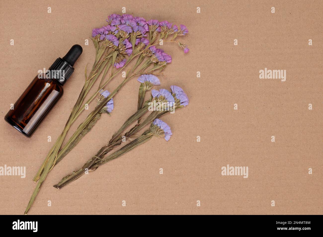 Ein Blumenstrauß mit einer Tropfflasche. Muster getrockneter Blüten auf Papierhintergrund. Flach liegend und von oben. Konzept der Alternativmedizin Stockfoto