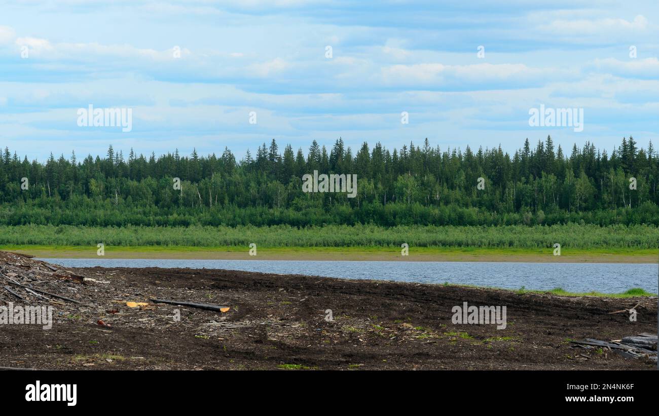 Das Flussufer im Norden von Yakutia mit anliegenden Brettern und Holzscheiten im Hintergrund des dichten nördlichen Nadelwaldes über den Fluss abschneiden Stockfoto