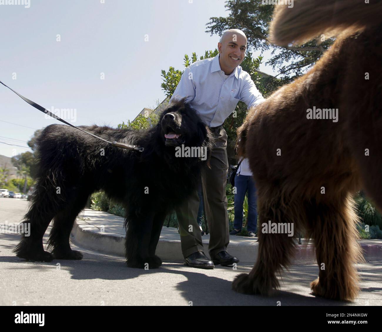 California Republican gubernatorial candidate, Neel Kashkari greets his two dogs after a news conference Tuesday, June 3, 2014 in Laguna Beach, Calif. (AP Photo/Chris Carlson) Stockfoto
