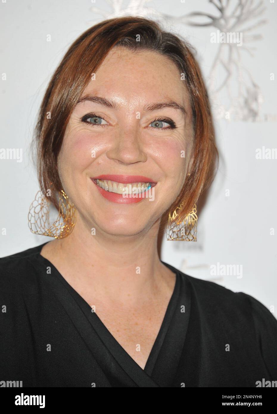 Stephanie Courtney arrives at The Groundlings 40th Anniversary Gala at Hyde on Sunday, June 1, 2014, in Los Angeles. (Photo by Katy Winn/Invision/AP) Stockfoto