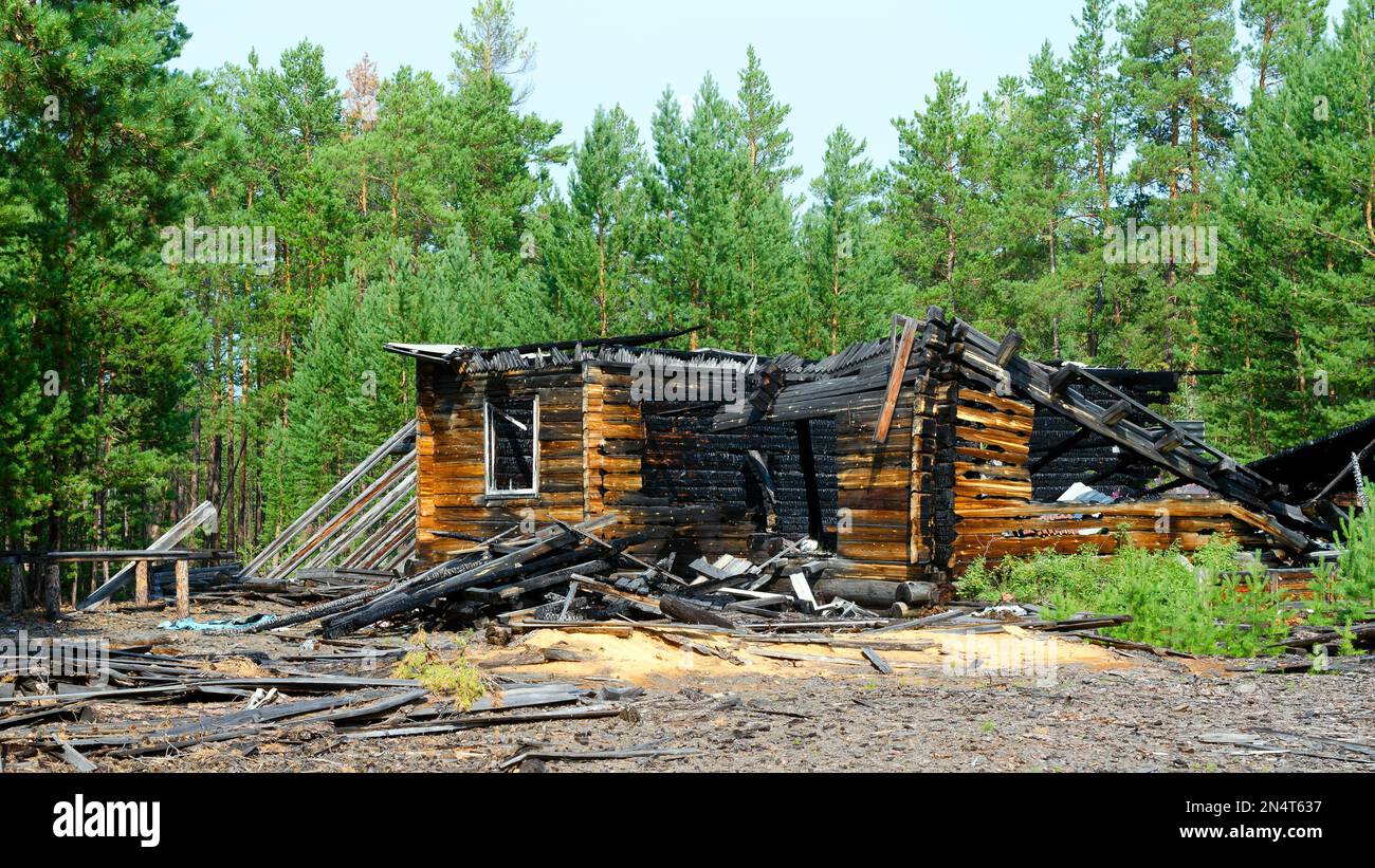 Die Überreste eines verbrannten Holzhauses nach einem Brand ohne Dach mit verkohlten Holzstämmen im Fichtenwald der nördlichen Taiga von Yakutia. Stockfoto