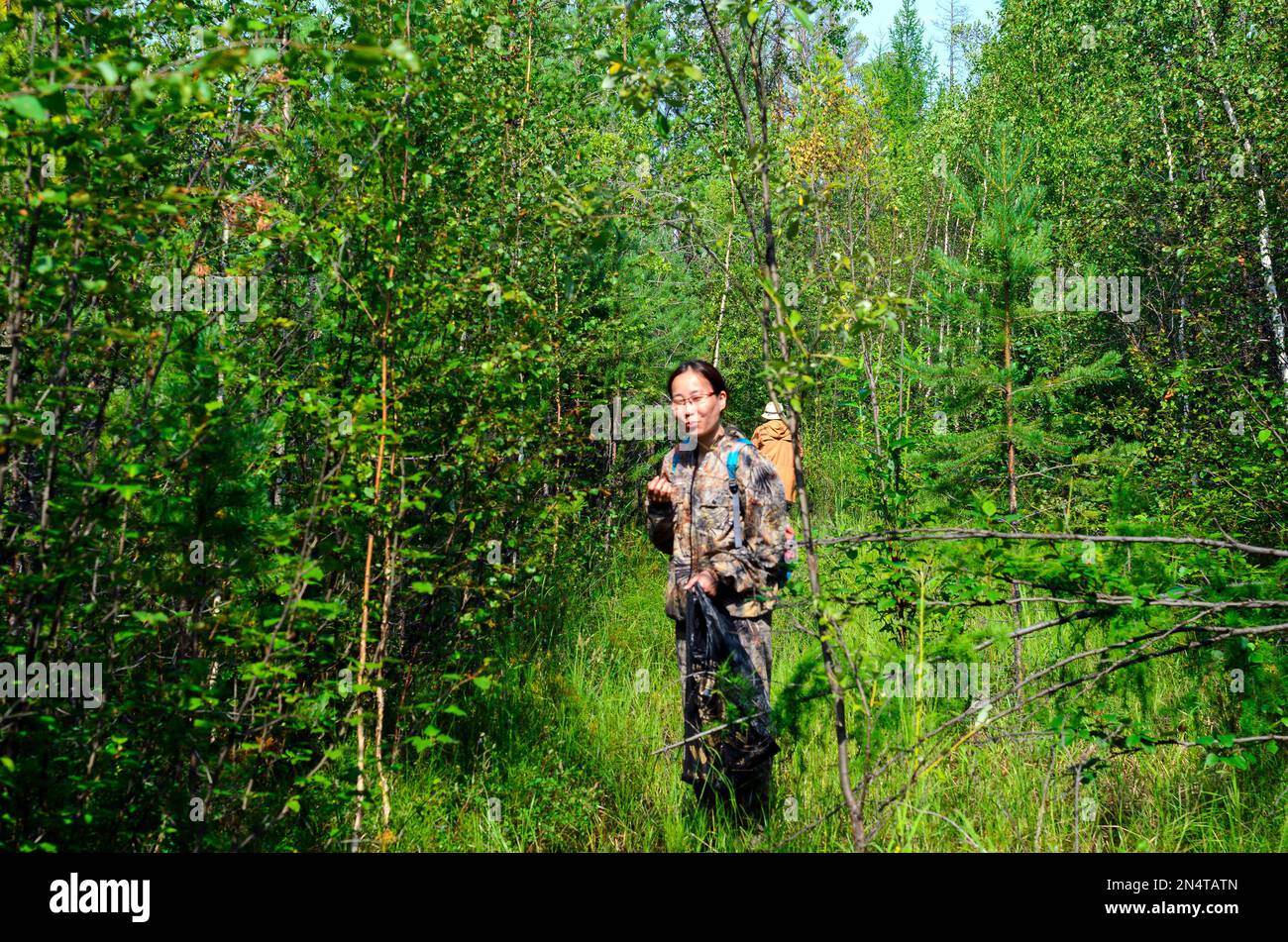Weibliche Touristen, asiatischer Pilzsammler in Yakutia mit einem Paket in den Händen, der auf einem Pfad im Wald steht und versucht, die wilden Beeren zu probieren. Stockfoto