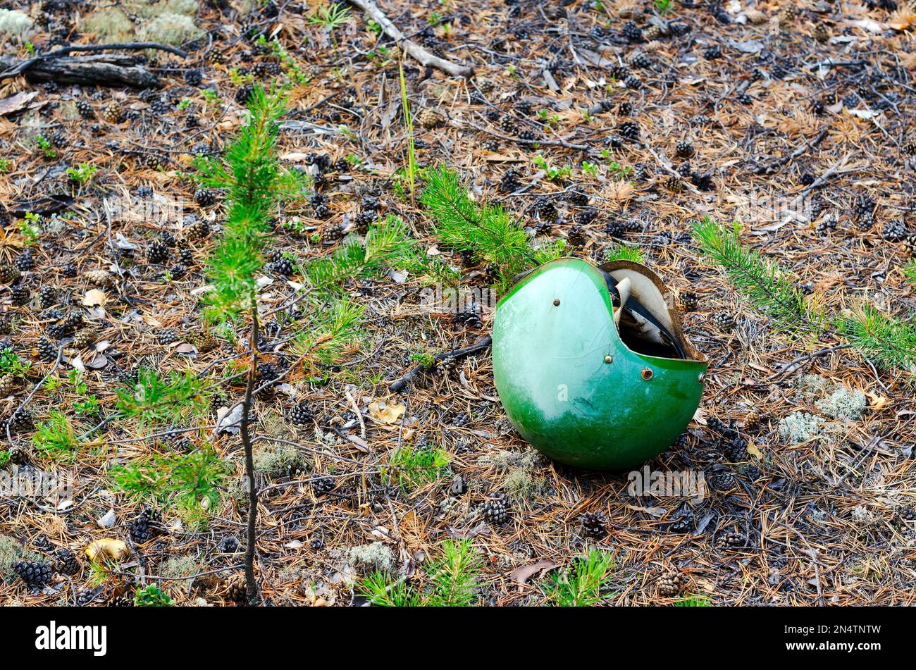 Verlassener grüner Schutzhelm eines Motorradfahrers, der im Wald auf Fichtennadeln und Kegeln liegt. Stockfoto