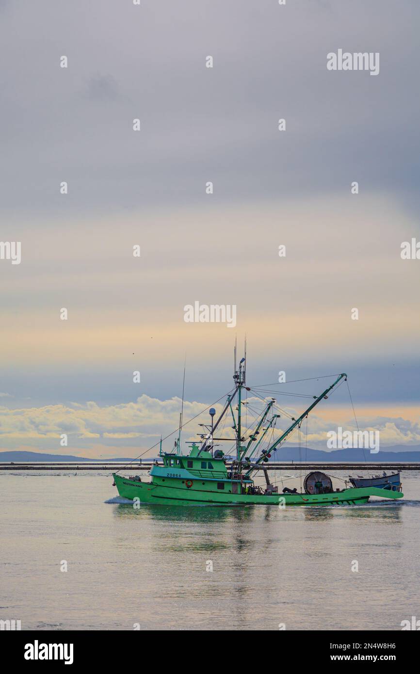 Farbenfrohes kommerzielles Fischerboot, das nach Steveston in British Columbia, Kanada, zurückkehrt Stockfoto