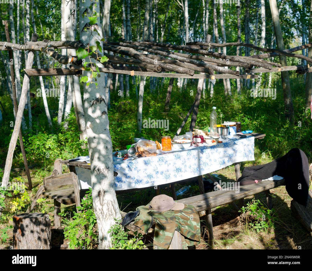 Esstisch mit Tischdecken und Essen im wilden nördlichen Wald in Yakutia ist unter dem Baldachin eines hellen Tages inmitten der Birken mit Bänken Stockfoto