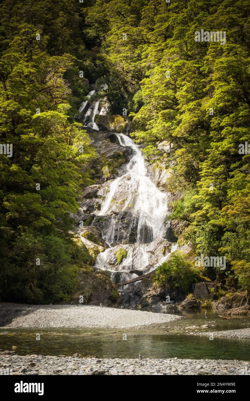 Fantail Falls, ein Wasserfall, der durch den dichten Regenwald in der Nähe des Highway 6 auf der Südinsel Neuseelands stürzt Stockfoto