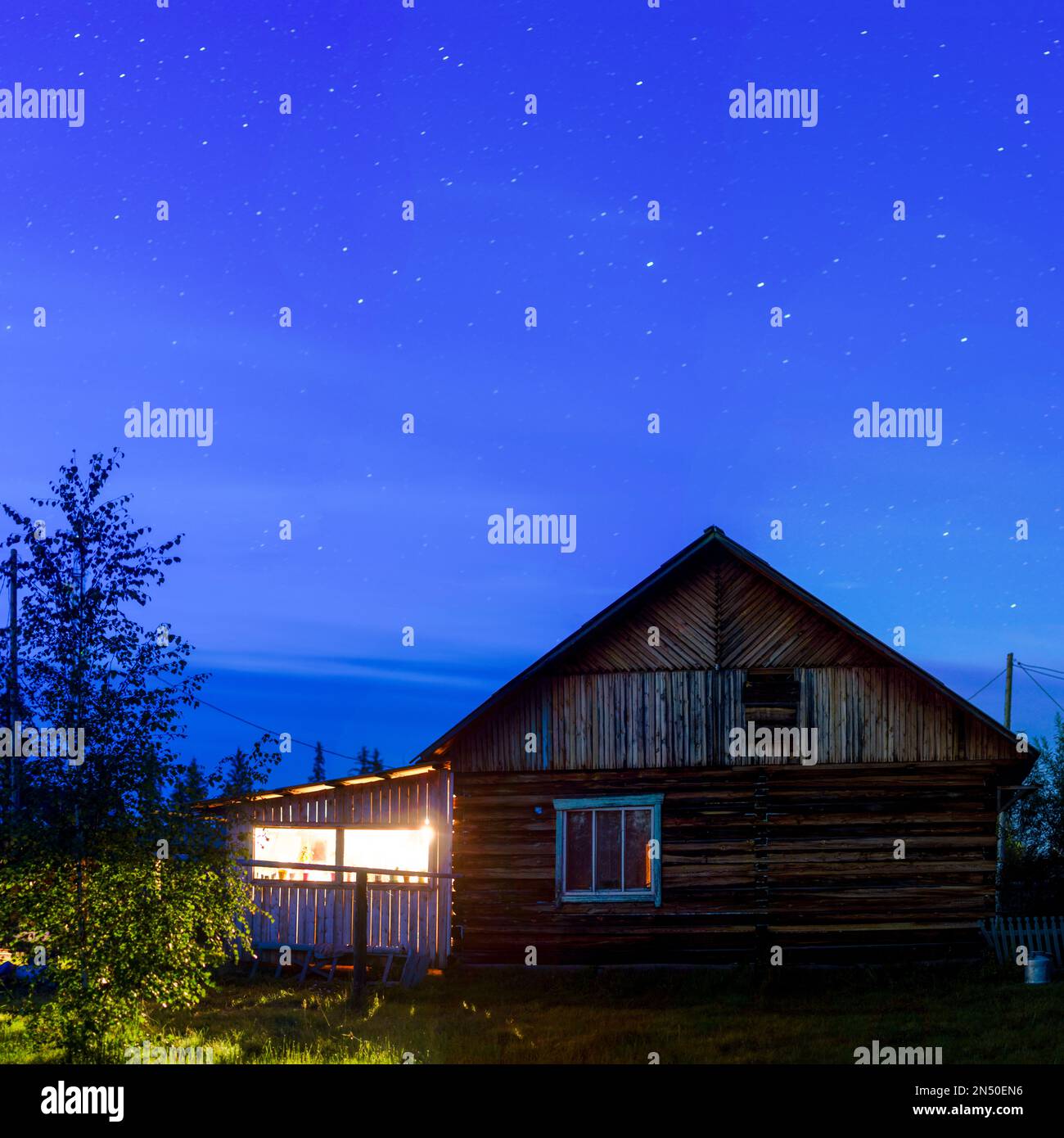 Das helle Licht der Lampe von der Veranda eines Privathauses beleuchtet die Birke und das Gras, die nachts unter dem Himmel stehen, mit Sternen im Himmel Stockfoto