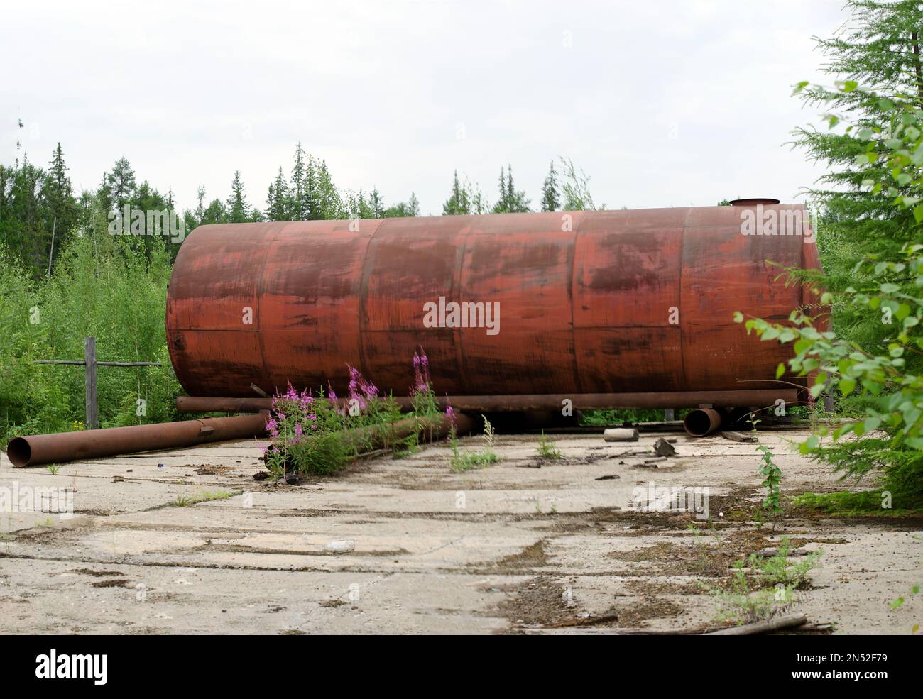 Ein großer rostiger Eisentank liegt auf einem verlassenen Gelände mit Blumen und Gras im Wald der nördlichen Taiga von Yakutia. Stockfoto Ein großer rostiger Eisentank liegt auf einem verlassenen Gelände mit Blumen und Gras im Wald der nördlichen Taiga von Yakutia. Stockfoto