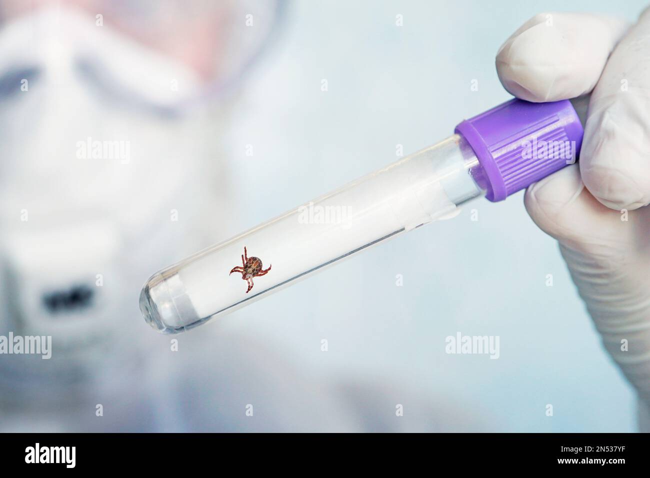 FUNOMOCYA Labor Saugball 220 Ml - Pipettenball Für Präzise Flüssigkeitskontrolle