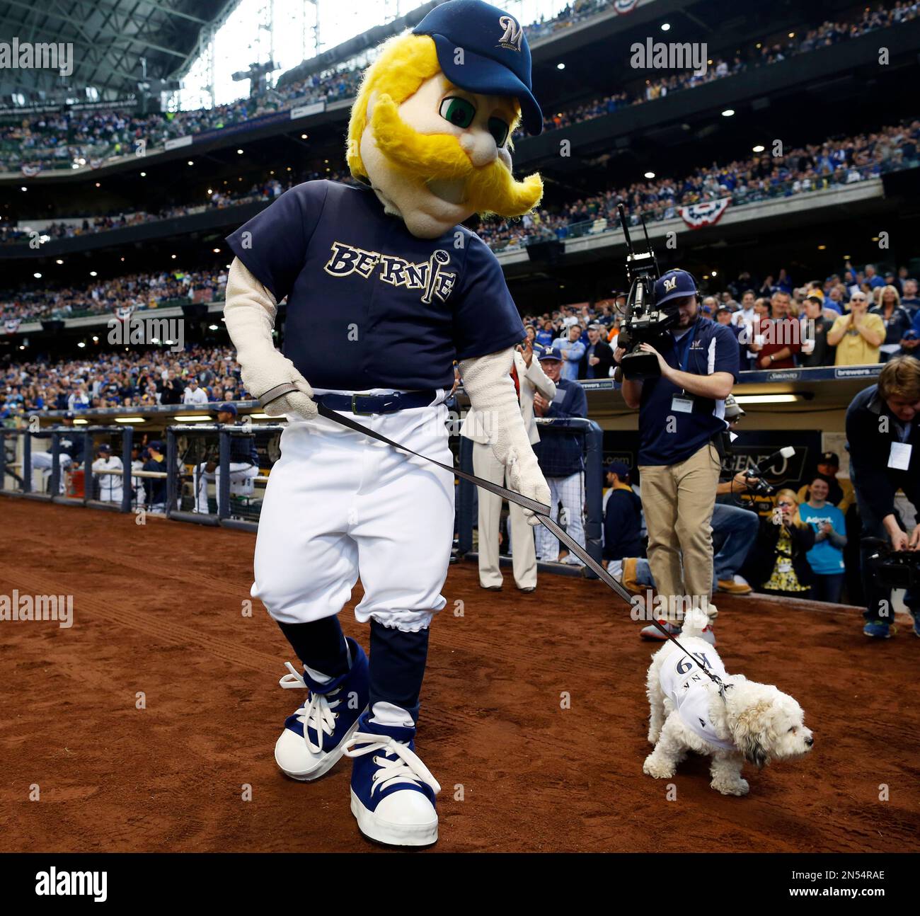 Bernie Brewer walks Hank, the unofficial mascot of the Milwaukee Brewers, out for opening ceremonies before a baseball game between the Brewers and Atlanta Braves at Miller Park, Monday, March 31, 2014, in Milwaukee. (AP Photo/Jeffrey Phelps) Stockfoto