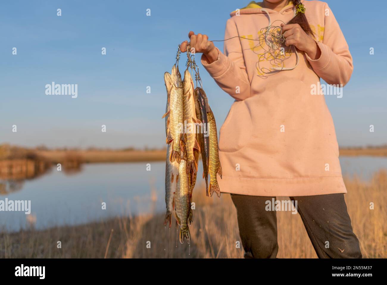 Yakut Fischermädchen halten viele Fischpike in den Händen, die am Fish Stringer hängen, vor dem Hintergrund des Sees auf dem Feld, mit verborgenem Gesicht. Stockfoto