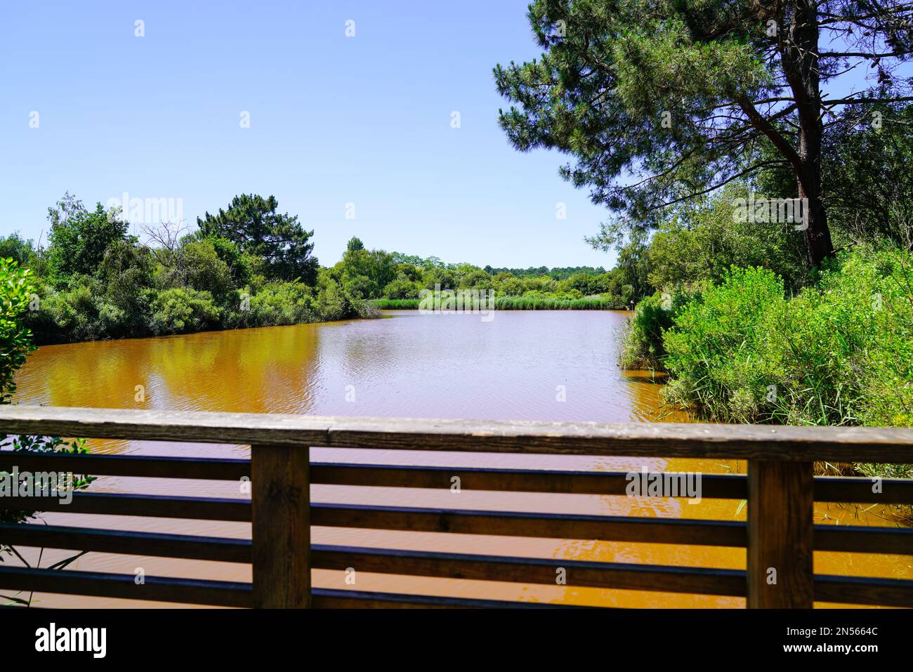 Brücke mit Blick auf die Küste des Flusses La Teste-de-Buch in gironde Stockfoto