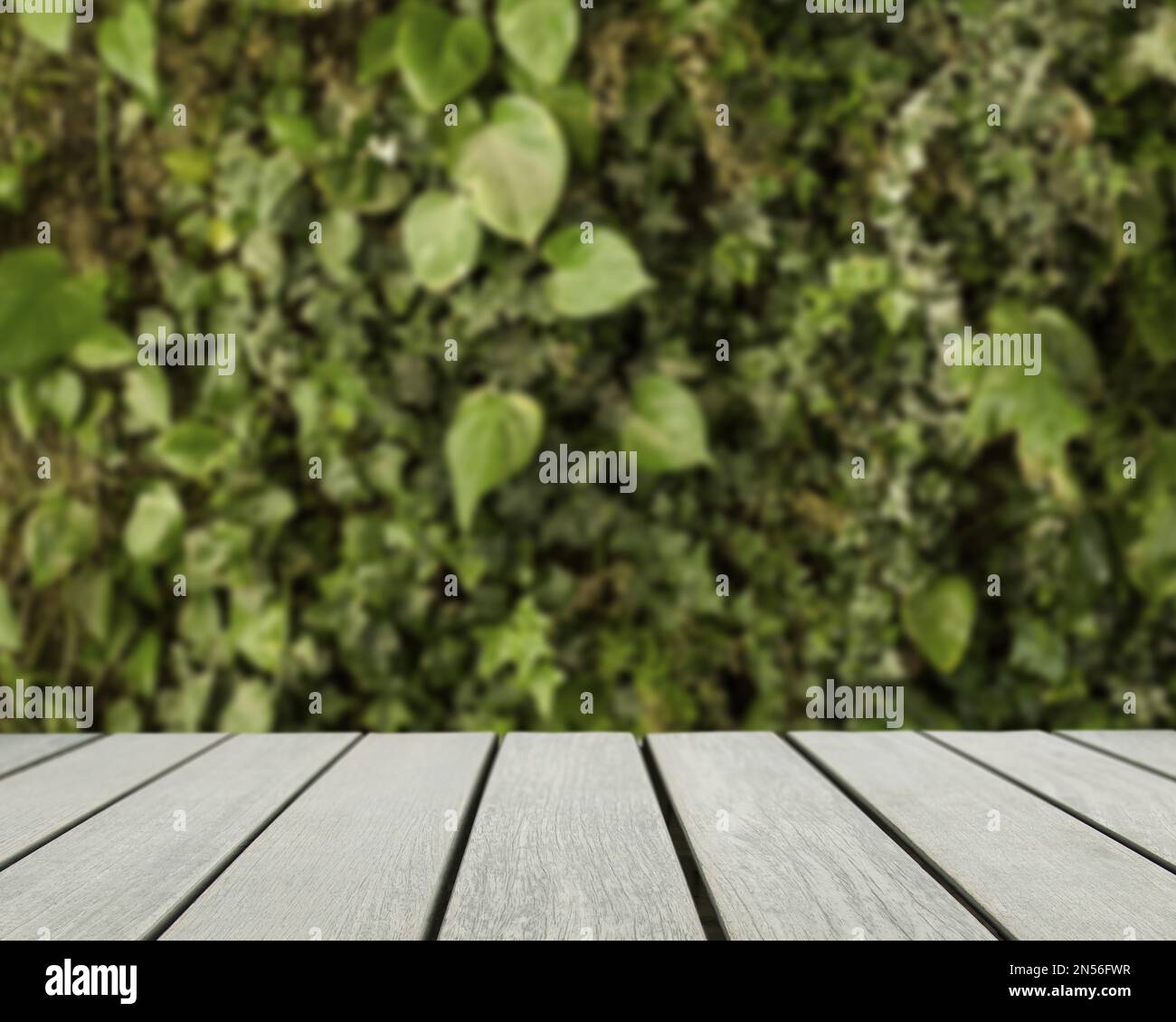 Tischoberfläche mit Blick auf verschwommene grüne Blätter. Auflösung und hochwertige Fotos Stockfoto