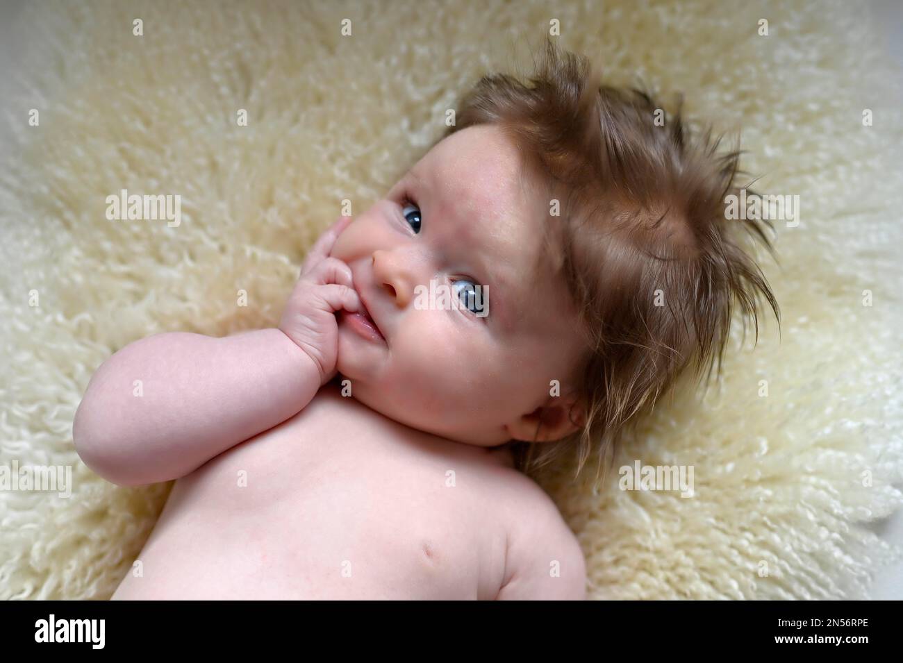 Kleinkind, Mädchen, 3 Monate, Baden-Württemberg, Deutschland Stockfoto