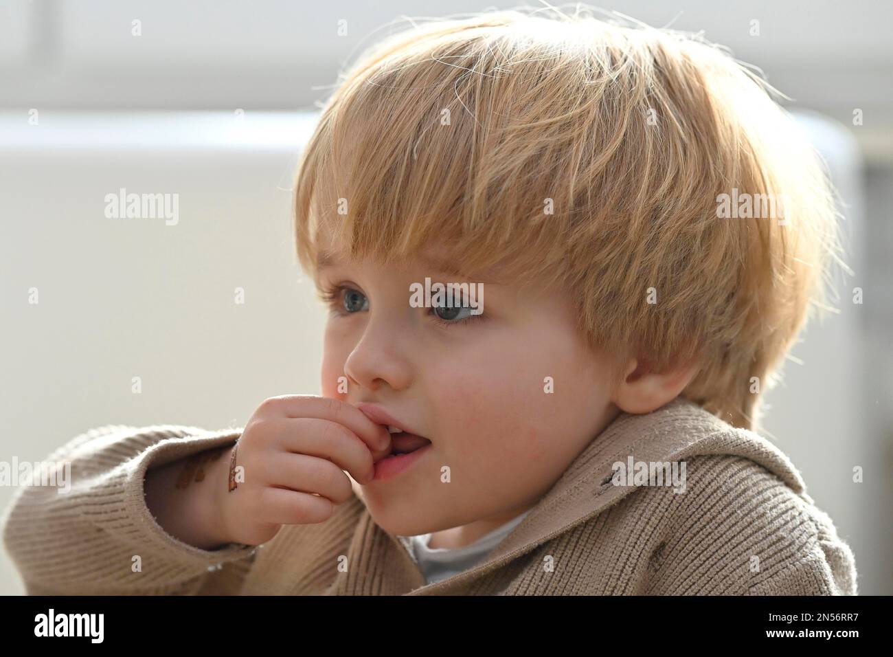Kleinkind, 3 Jahre, aufmerksam, Baden-Württemberg, Deutschland Stockfoto