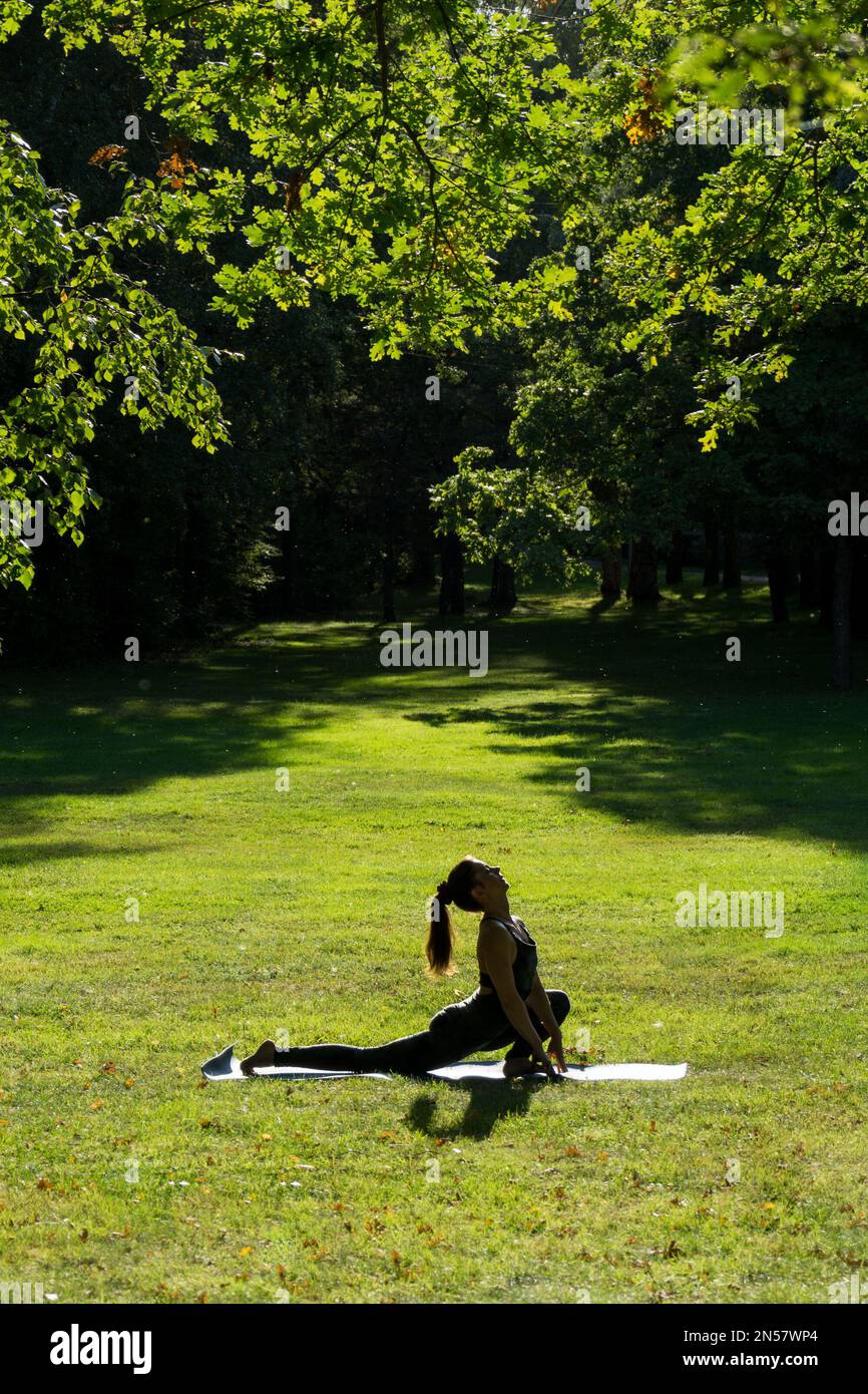 Schlanke Frau mit Pferdeschwanz-Yoga-Fahrer posieren im sonnigen, grünen Park auf Gras Stockfoto