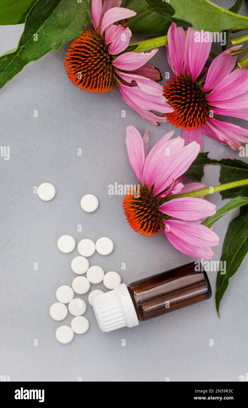 echinacea-Blüten mit Tropfer und Tabletten auf melierter grauer Oberfläche mit Kopierbereich Stockfoto
