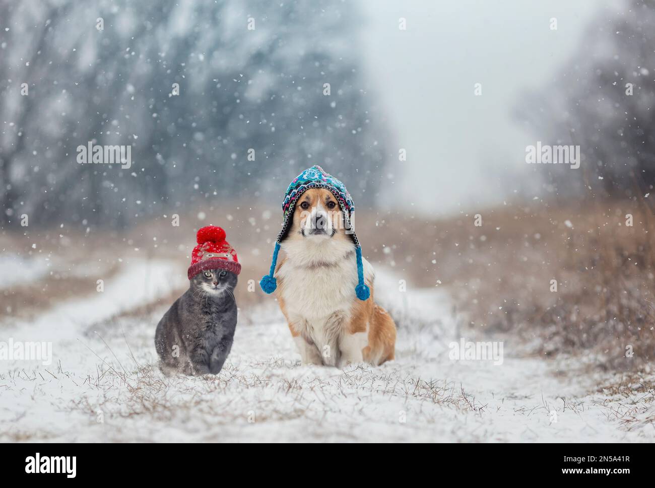 Flauschige Freunde, Hunde und Katzen, sitzen während eines Schneefalls in einem Winterpark in warmen Strickhüten Stockfoto