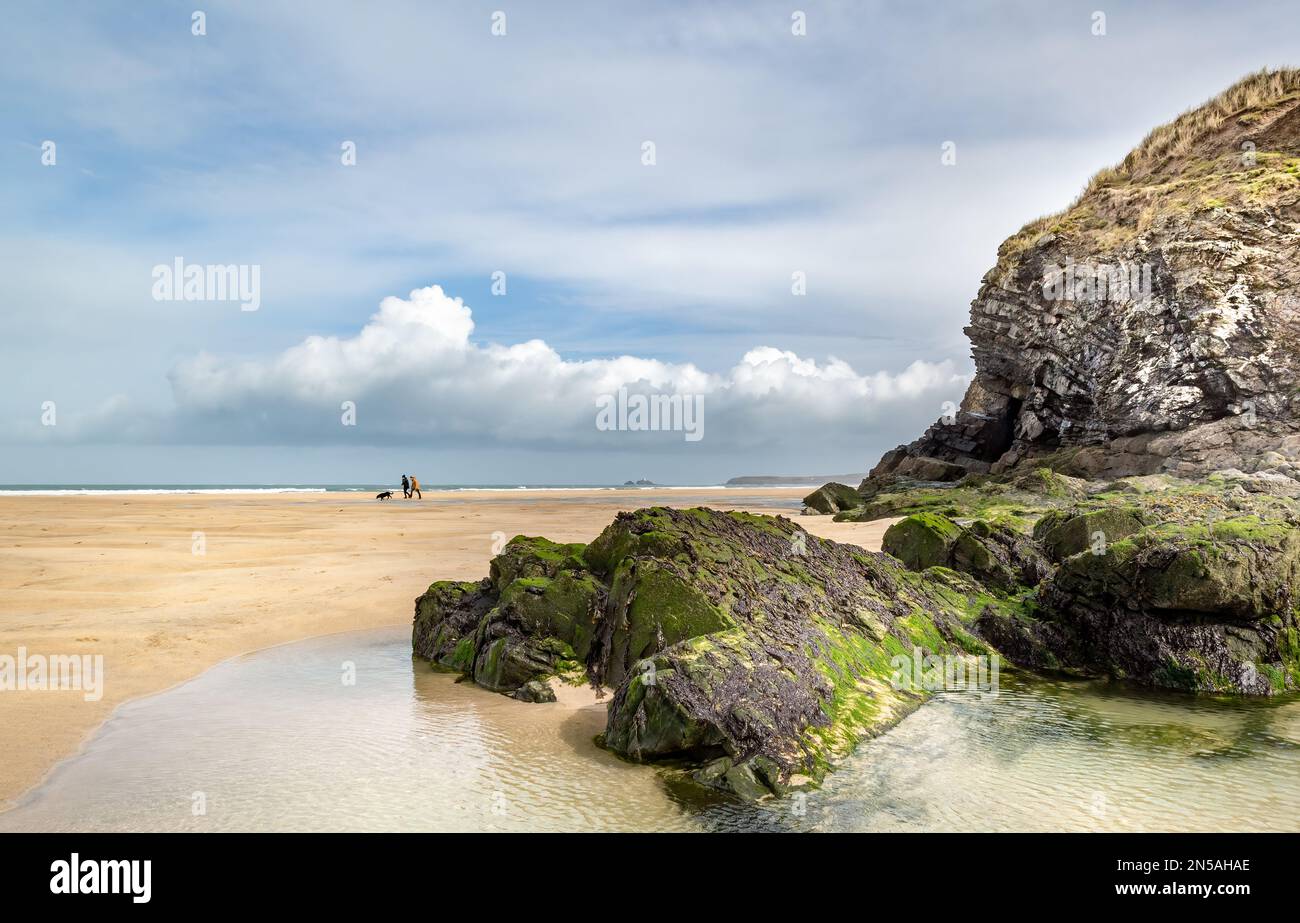 Hundefreunde an einem eiskalten, sehr windigen Tag im März. Aufgenommen am Hayle Beach in North Cornwall mit Blick auf den Leuchtturm von Godrevy Stockfoto