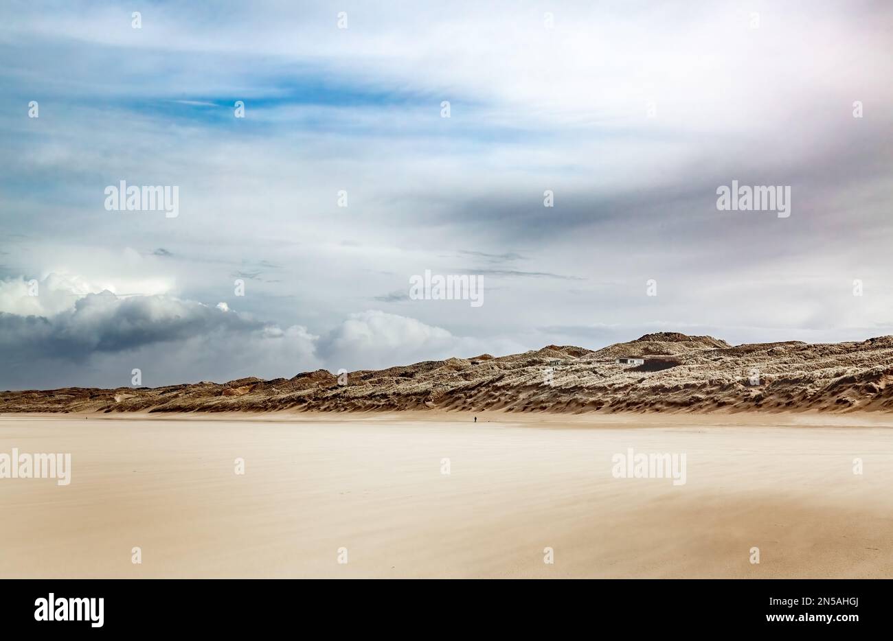 Eiskalt, sehr windiger Tag im März während der Abriegelung. Die Sanddünen und der Strand am Mexican Towans Beach in North Cornwall Stockfoto