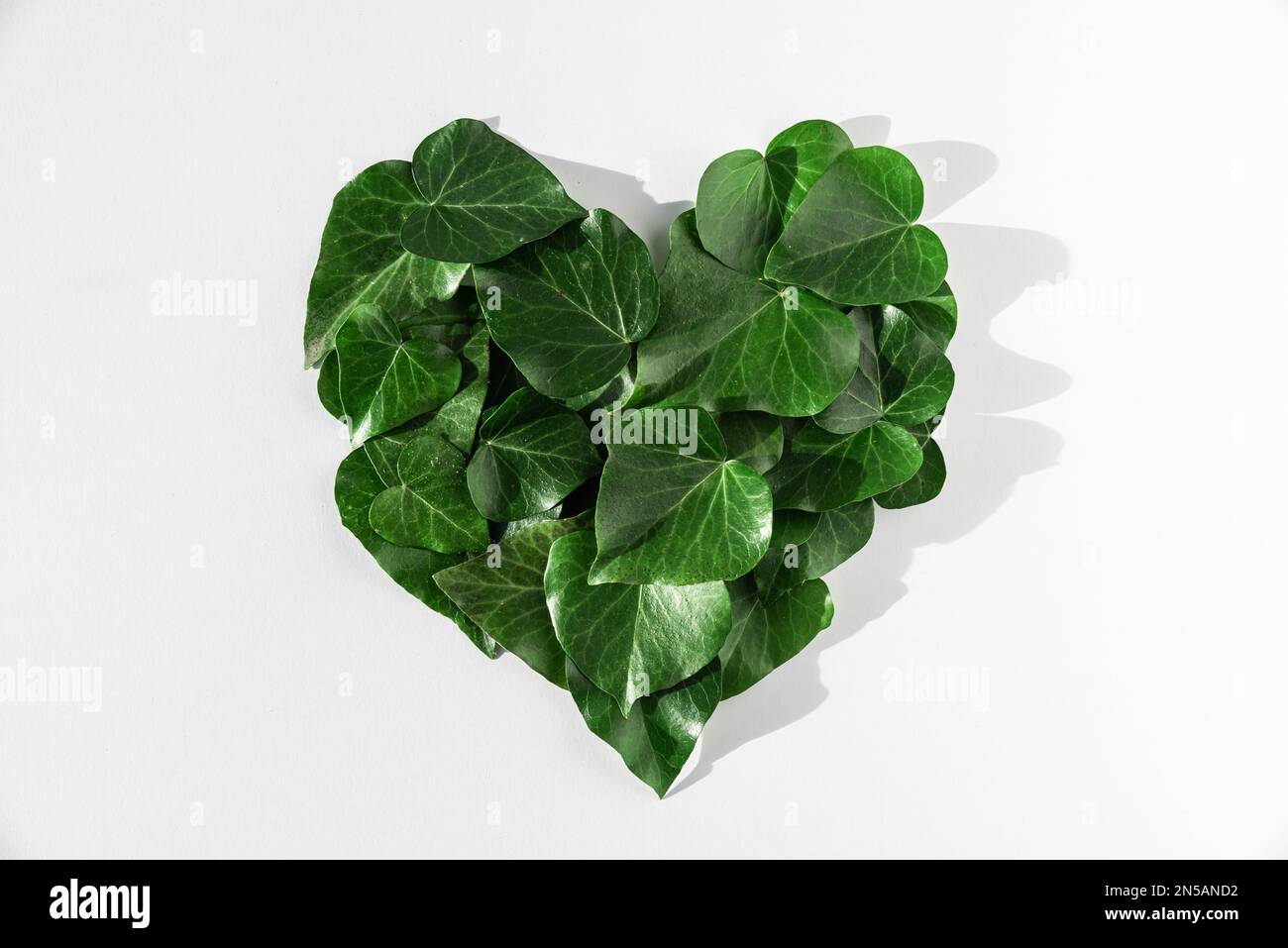 Umwelt, Grüne Energie, Öko-Konzept. Grüne Blätter in Herzform auf weißem Hintergrund. Flach verlegt. Grüne Energie, erneuerbare und nachhaltige Ressource Stockfoto
