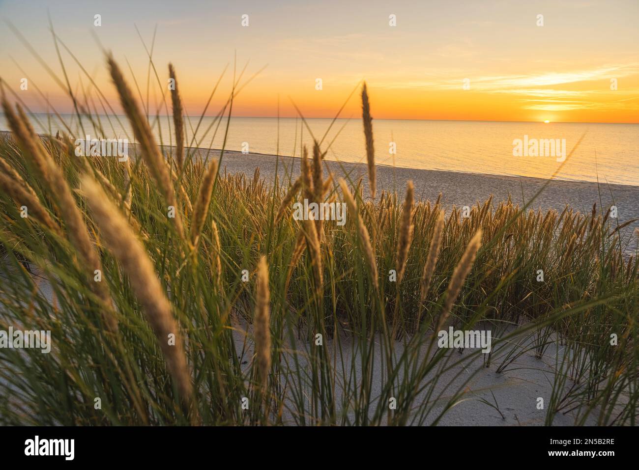 Sonnenuntergang am Sandstrand an der Ostsee. Sanddünen mit Gras an der Küste bei Sonnenuntergang. Reiseziel Stockfoto