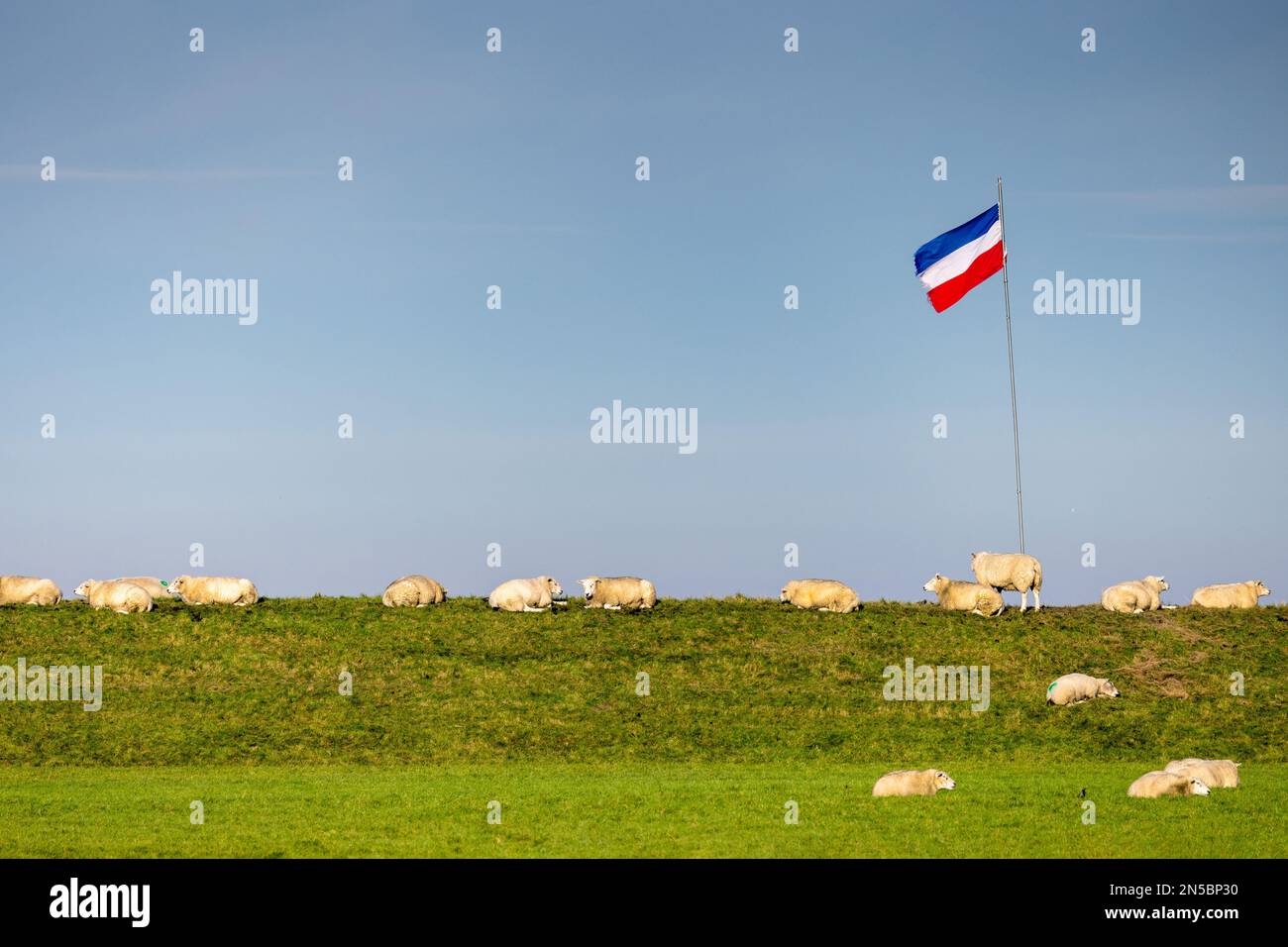 Landwirte protestieren gegen die EU-Agrarpolitik, die Flagge hängt verkehrt herum, Niederlande, Frisia, NSG Buitendijks, Ferwert Stockfoto