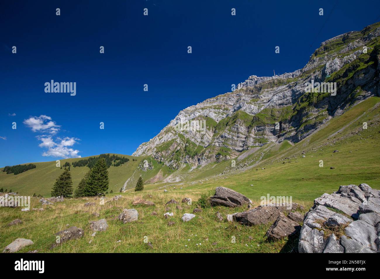 Blick auf die Saentis von Schwaegalp am Nachmittag, Ostschweiz, Schweiz Stockfoto