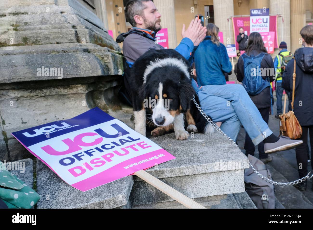 Bristol, Großbritannien. 9. Februar 2023. Phoebe, der Hund, ist im Dienst. Eindrucksvolle Dozenten der Universität Bristol veranstalten eine Kundgebung vor den Victoria Rooms, das Thema der Kundgebung ist „Warum wir streiken“. Dozenten und Mitarbeiter der Bristol University kämpfen weiterhin streikend um Renten, faire und gleiche Bezahlung, angemessene Arbeitsbelastung und die Beendigung prekärer Verträge. Kredit: JMF News/Alamy Live News Stockfoto