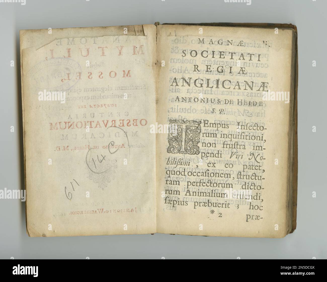 Alte und verwitterte Schrift. Ein altes Medizinbuch mit seinen Seiten. Stockfoto