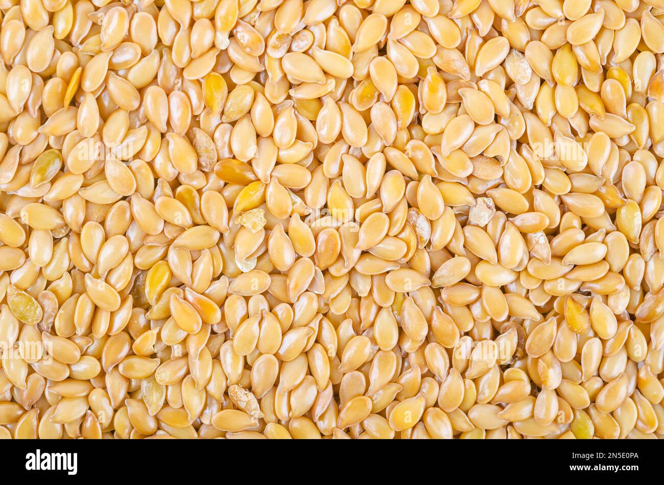 Viele goldene Leinsamen, die als Hintergrund strukturiert sind. Stockfoto