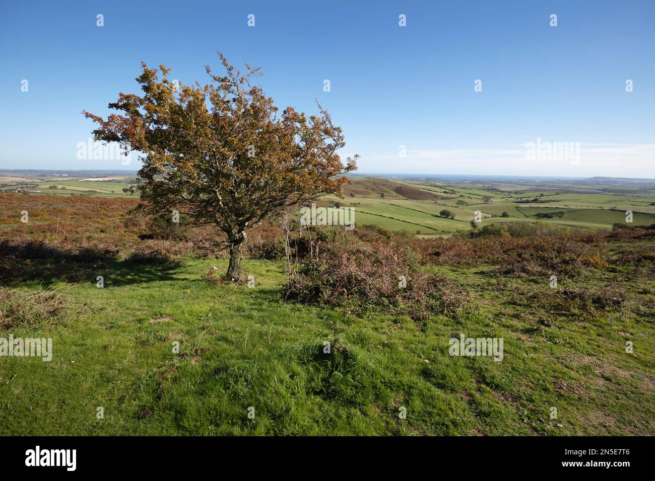 Dorset ländliche Landschaft vom Hardy Monument zum Meer und Portland, Portesham, Dorset, England, Vereinigtes Königreich, Europa Stockfoto