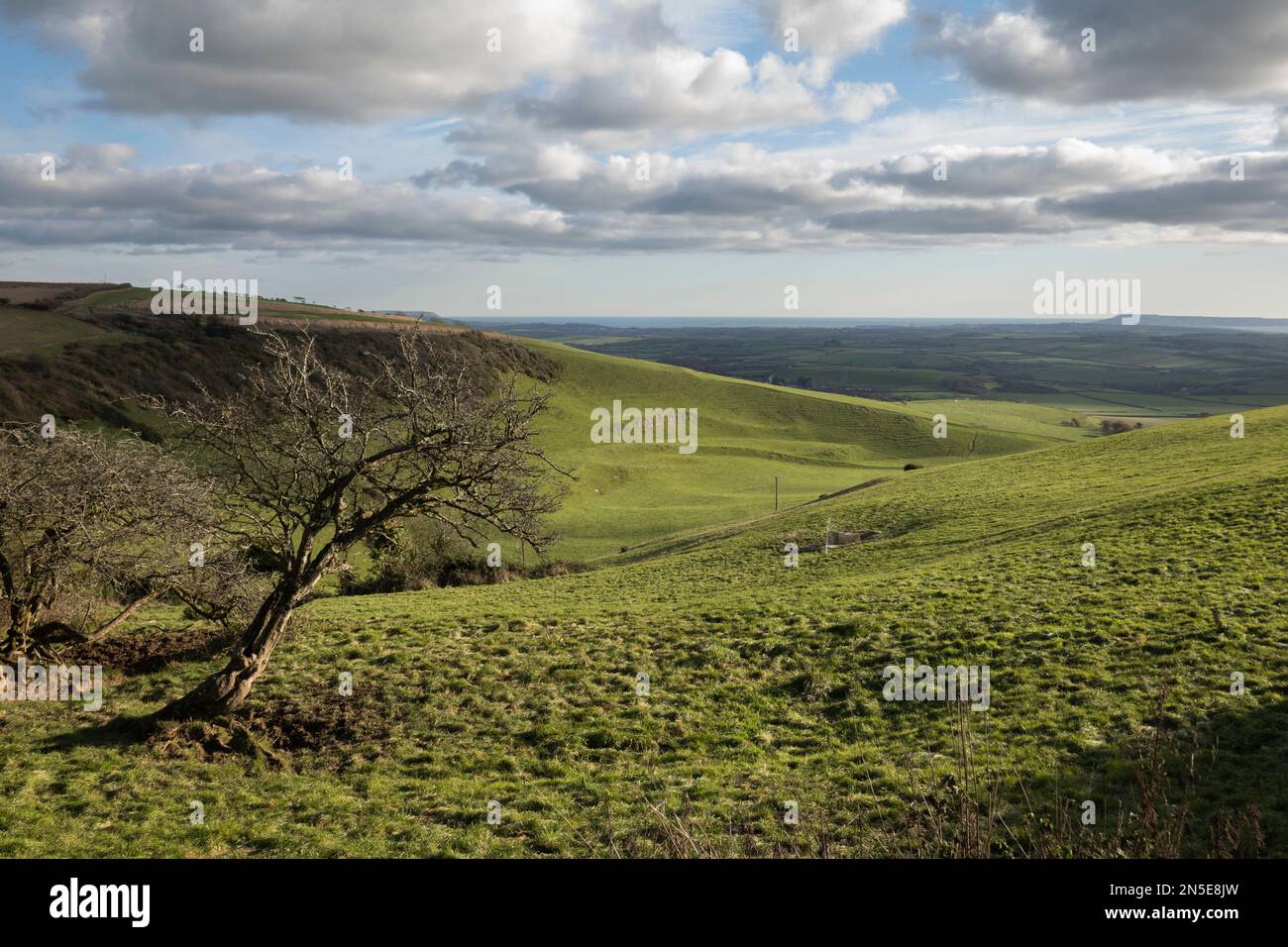 Striplynchets aus der Bishop's Road mit Blick auf Portland und Sea, Portesham, Dorset, England, Vereinigtes Königreich, Europa Stockfoto