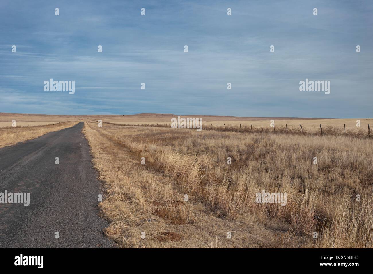 Führende Straßen- und Rinderzäune, die durch offene gelbe Weideland im ländlichen New Mexico führen Stockfoto