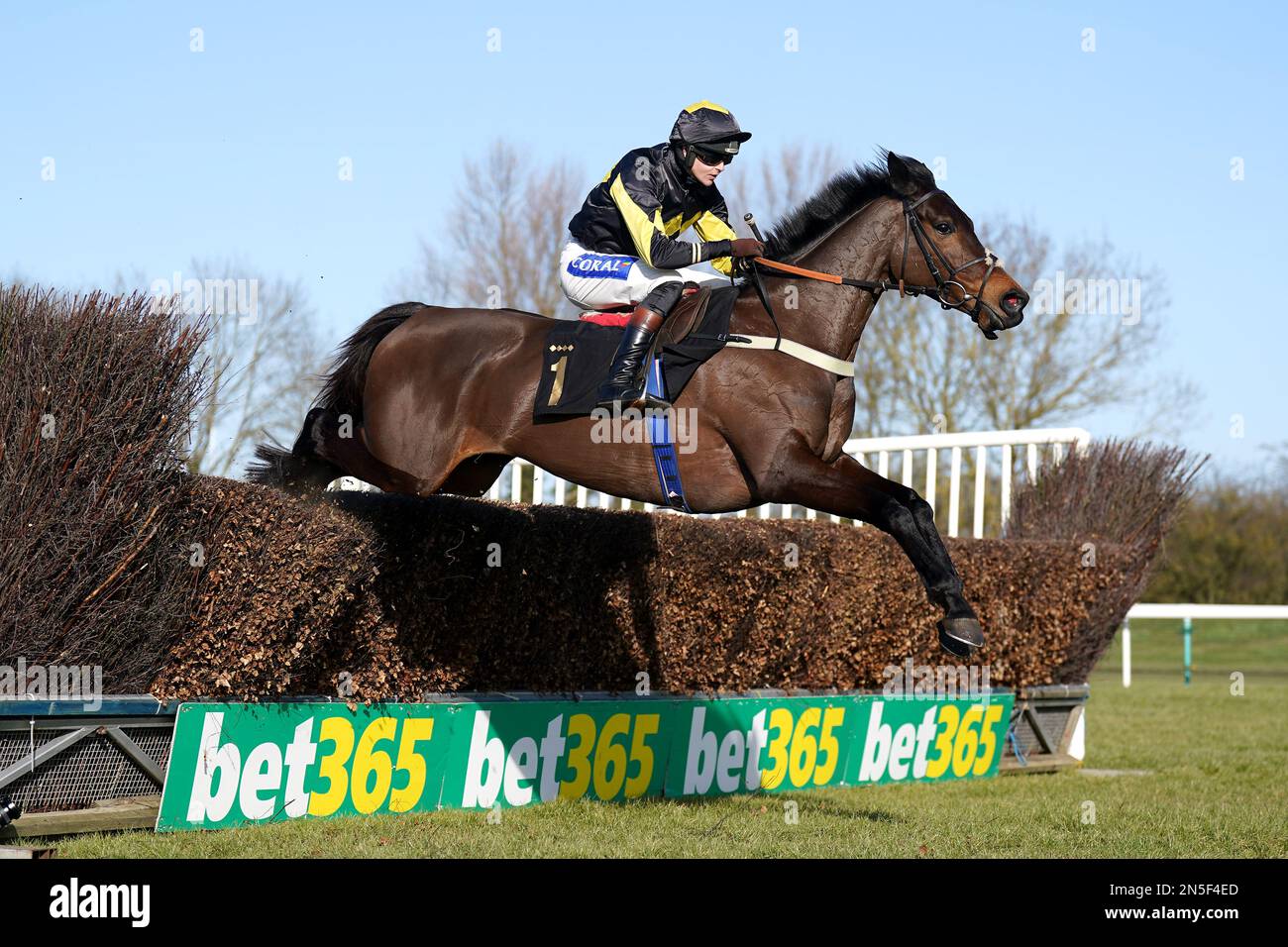 Shirocco's Dream Ride by Jockey Brendan Powell auf dem Weg zum Sieg des Oxenwood Real Estate Mares' Novice' Handicap Chase (Qualifier) auf der Rennbahn Huntingdon, Cambridgeshire. Foto: Donnerstag, 9. Februar 2023. Stockfoto