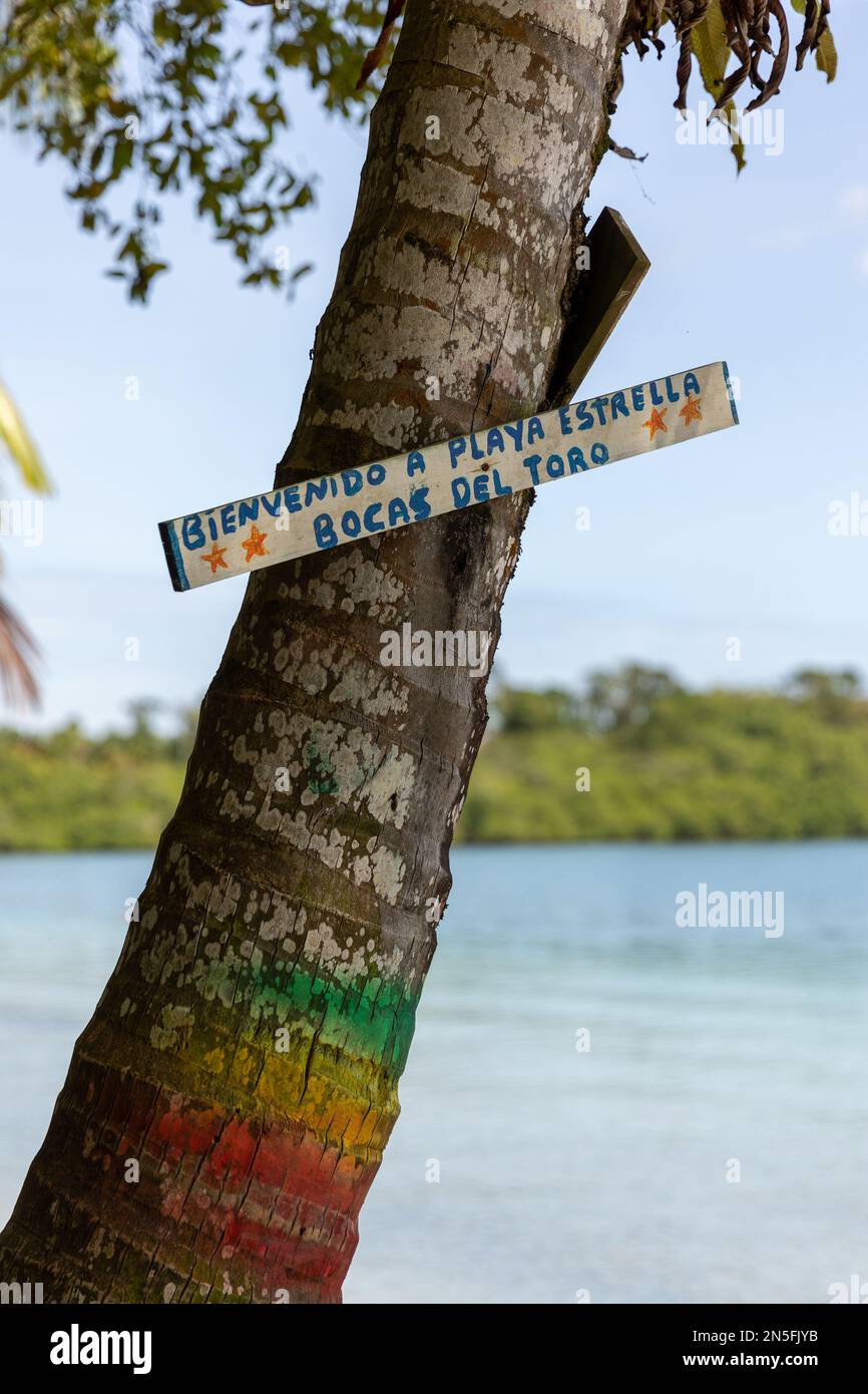 Starfish Beach, Bocas del Toro, Panama Stockfoto