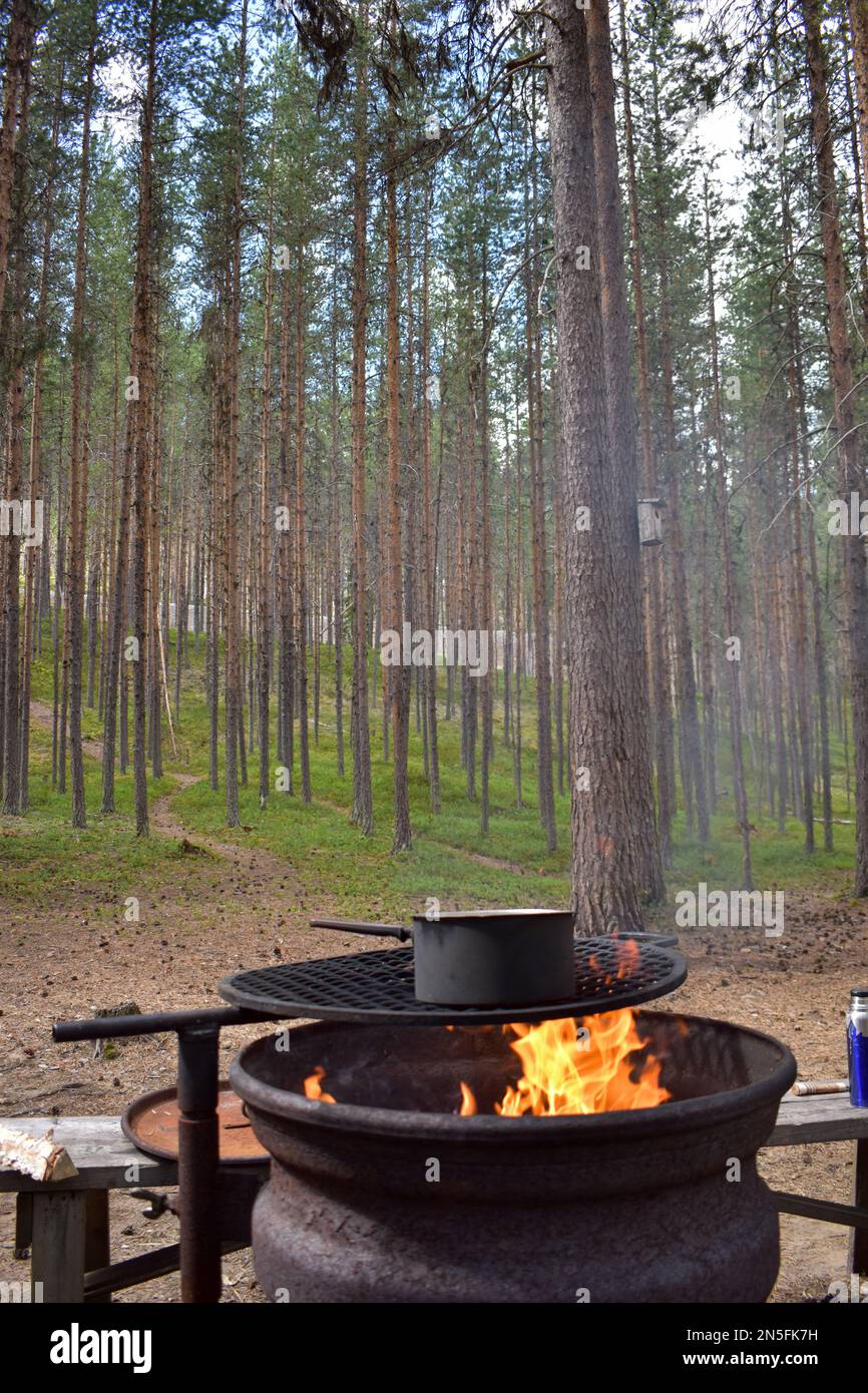 Lagerfeuer am Ufer eines Sees. Großes Feuer, das die Luft wärmt. Holz verbrennen, um ein Barbecue zu machen. Outdoor-Leben, Angeltag. Schwedische Landschaft in Autu Stockfoto