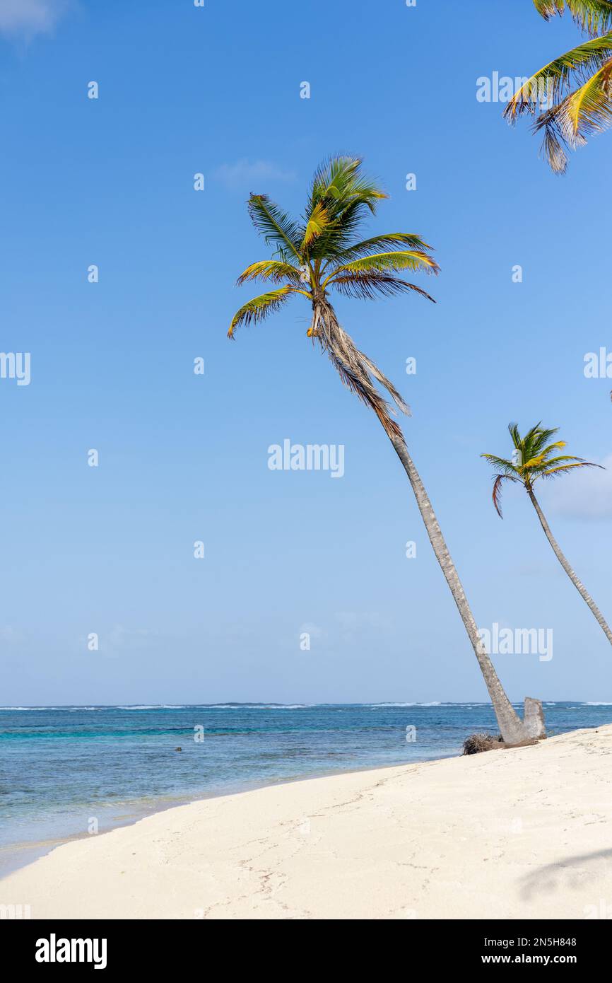 San Blas Inseln, Panama Stockfoto