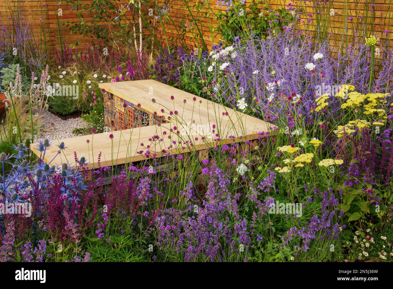 Eine Holzbank mit Insektenlebensräumen, umgeben von trockentoleranten Stauden im Turfed-out-Garten. Stockfoto