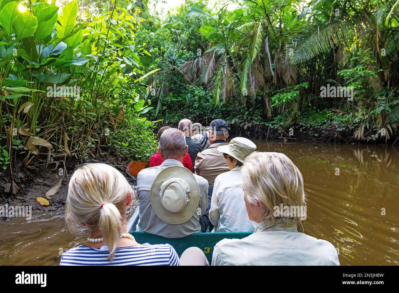 Gruppe von nicht wiedererkennbaren Menschen auf einem Kanufahrt durch den Amazonas-Regenwald, Touristen auf der Suche nach Tieren. Stockfoto