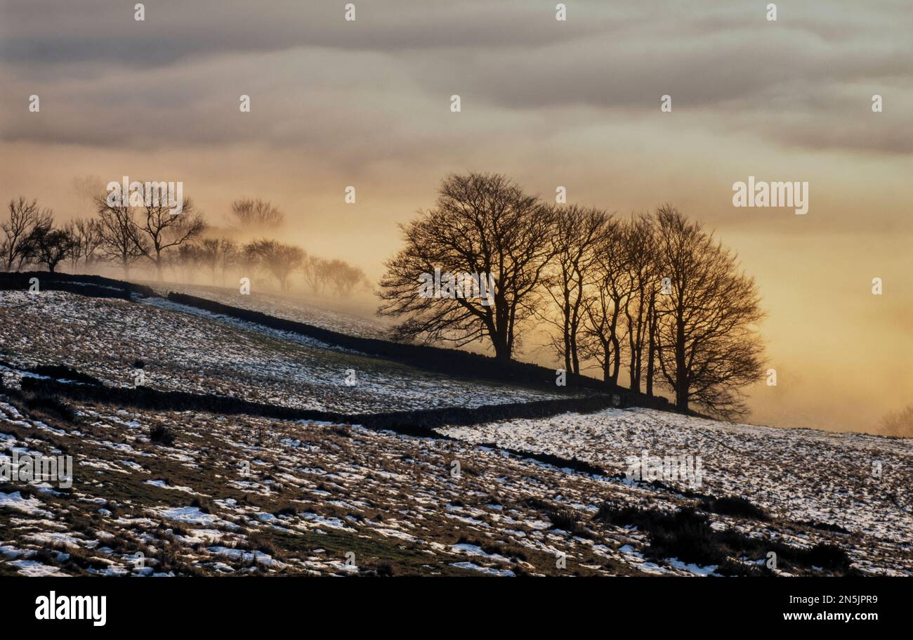 Bamford Kante Nebel, Inversion Stockfoto