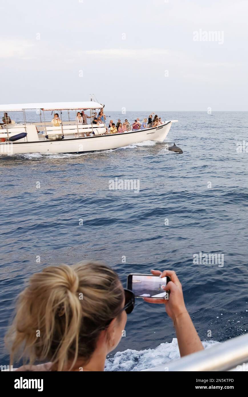 Tourismus auf den Malediven; Tourist fotografiert Delfine, während sie von einem Boot aus Delfine beobachten; Indischer Ozean, Malediven Asien Stockfoto