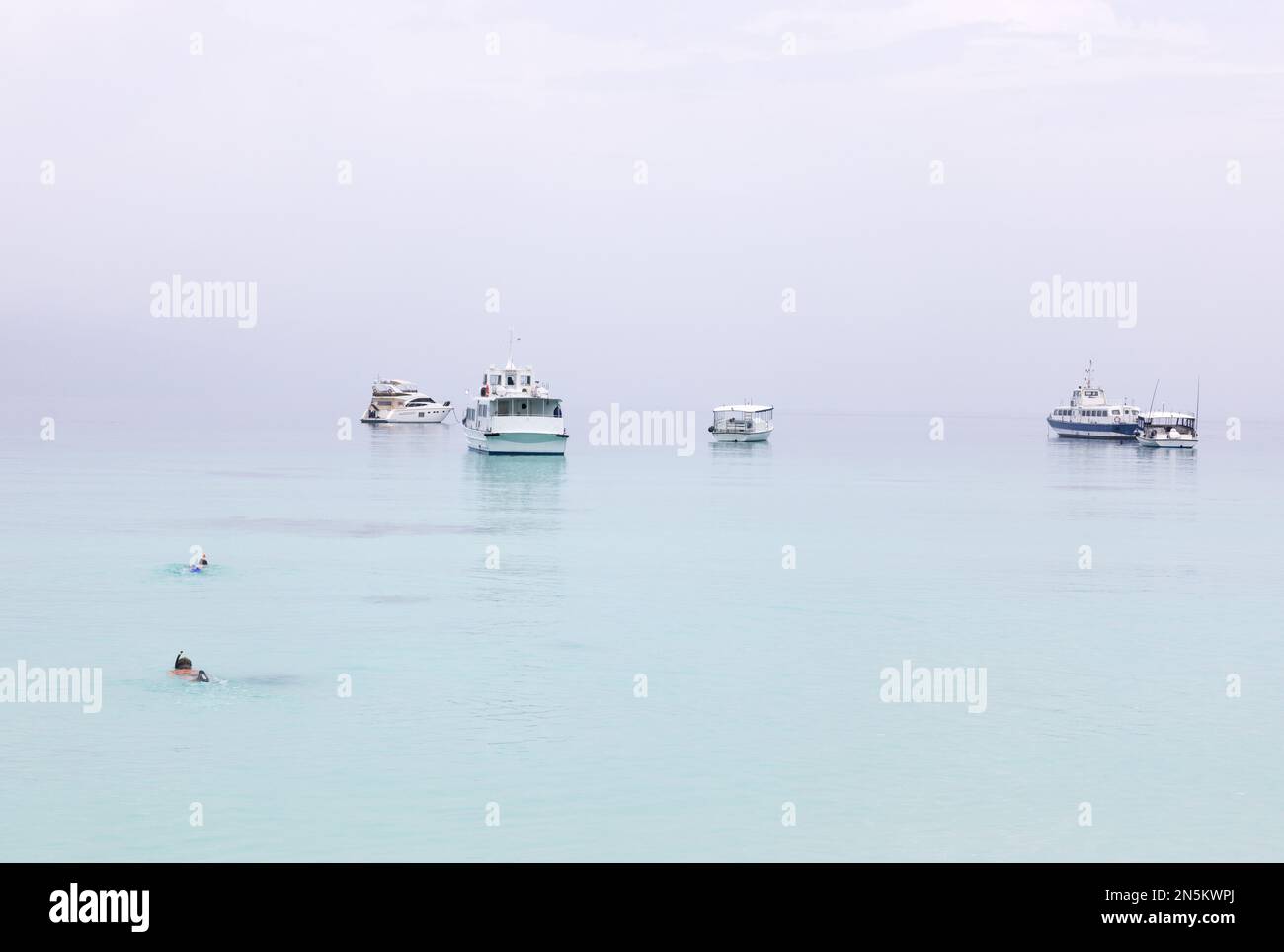 Ruhiges Wasser; 2 Personen schwimmen und schnorcheln in der Nähe von Booten an einem ruhigen Morgen, Malediven, Indischer Ozean Asien. Konzept ruhig und friedlich. Stockfoto