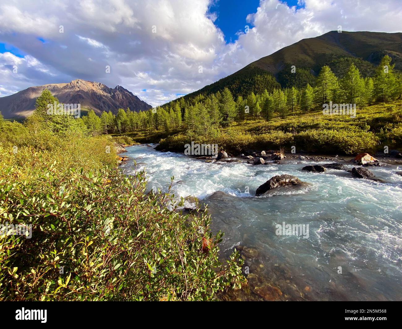 Alpenfluss mit Rinnen in einem Bergtal mit hohen Felsen inmitten des Waldes im Altai in Sibirien. Stockfoto