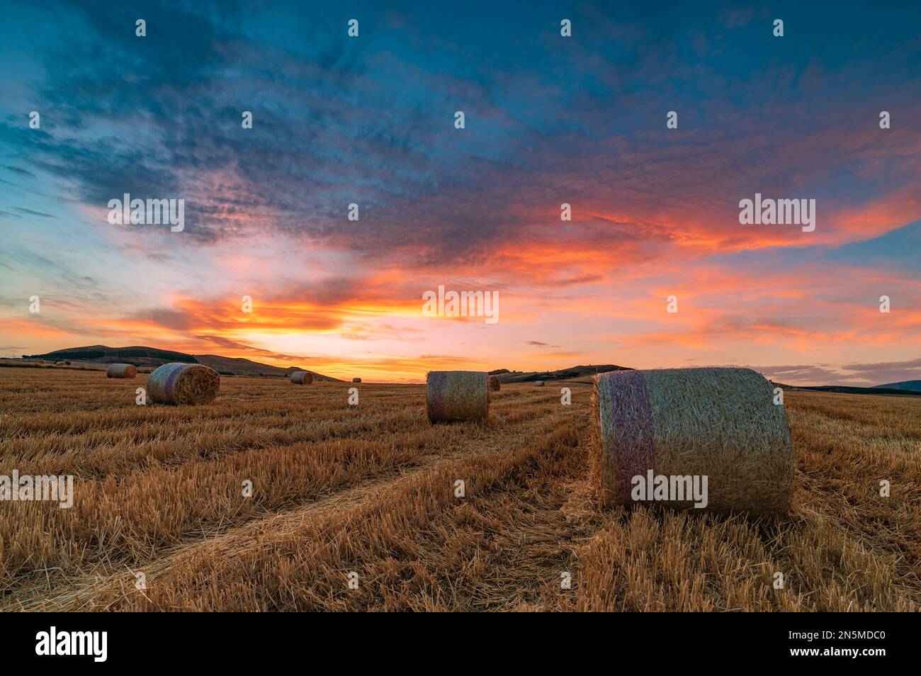 Heuballenfeld in der Abenddämmerung, Sizilien Stockfoto