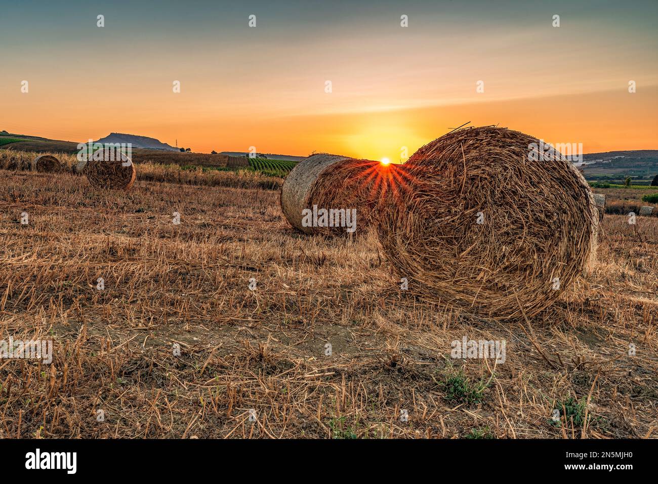 Heuballenfeld bei Sonnenuntergang, Sizilien Stockfoto